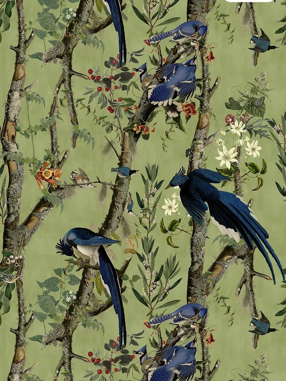 New Anthropologie MINDTHEGAP Birds of Danube Bird Wallpaper Mural